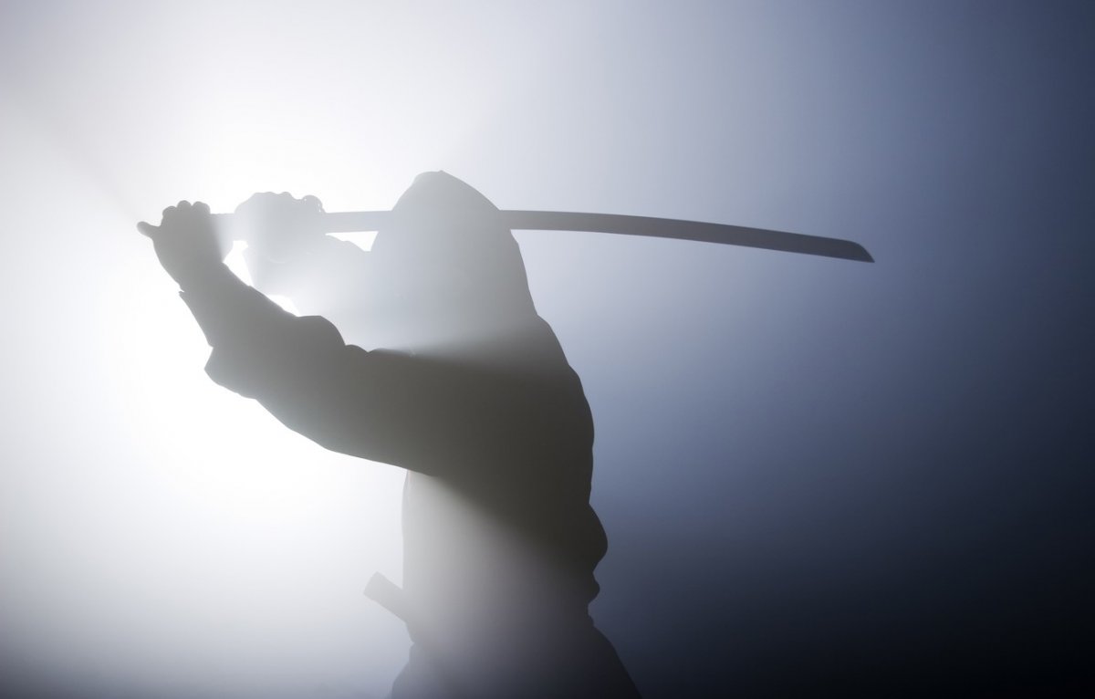 Хаябуса ниндзя Гайден