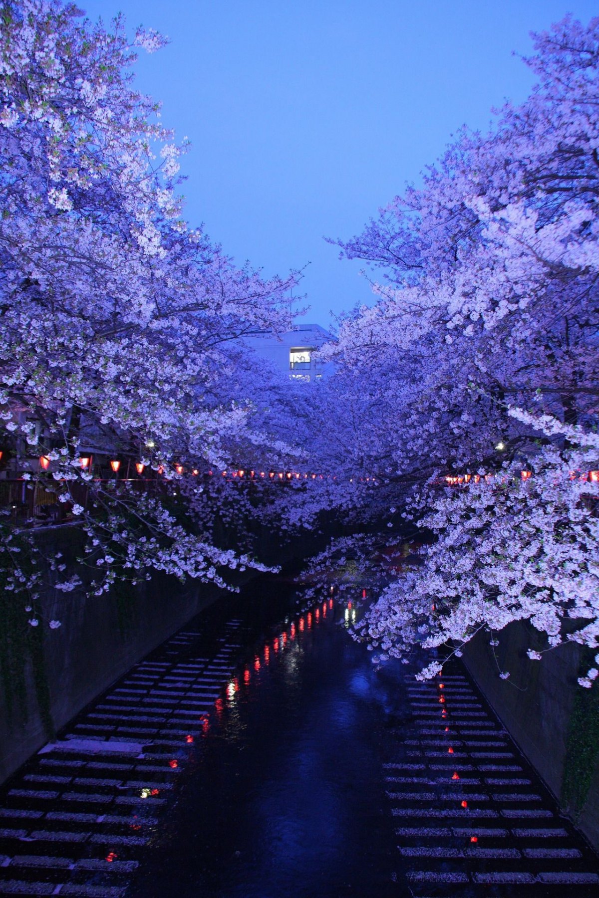 Обои 4к Япония