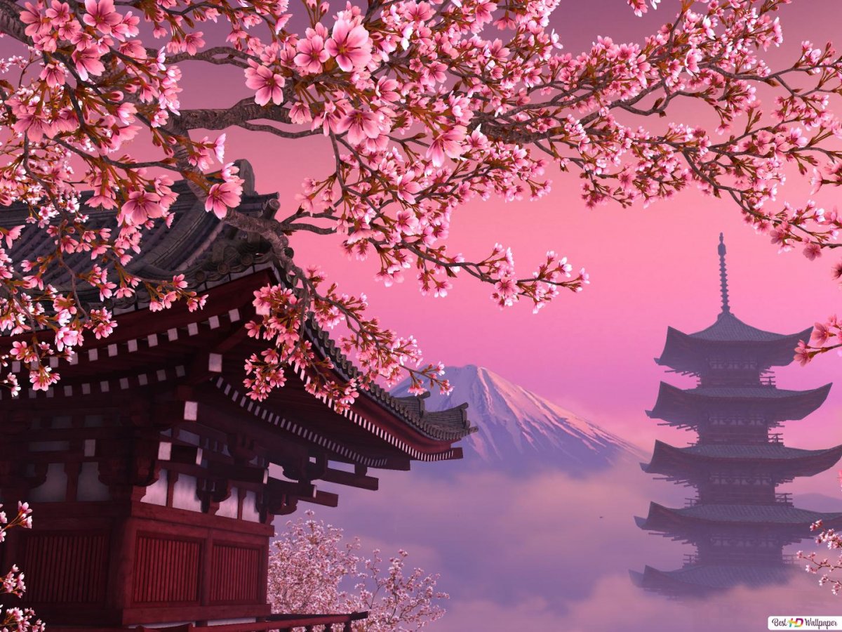 Красивый японский сад