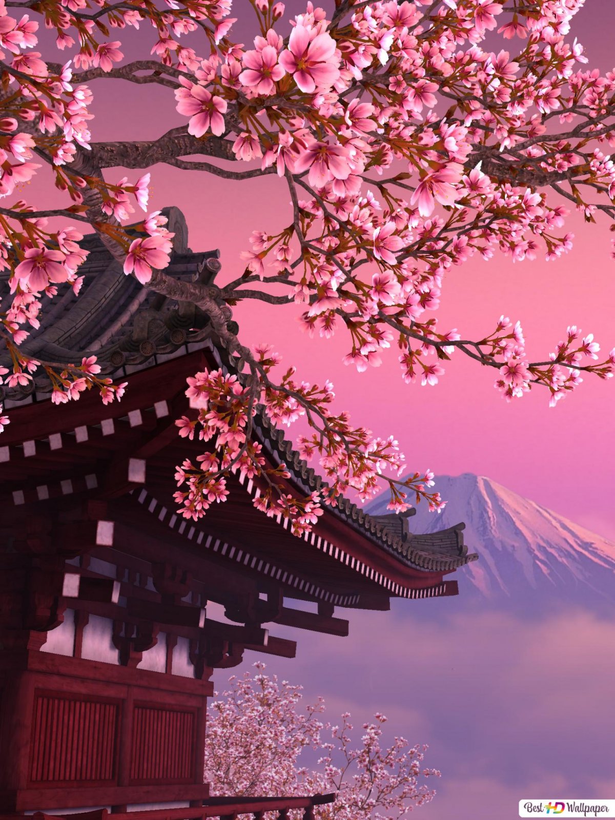 Японский сад Киото