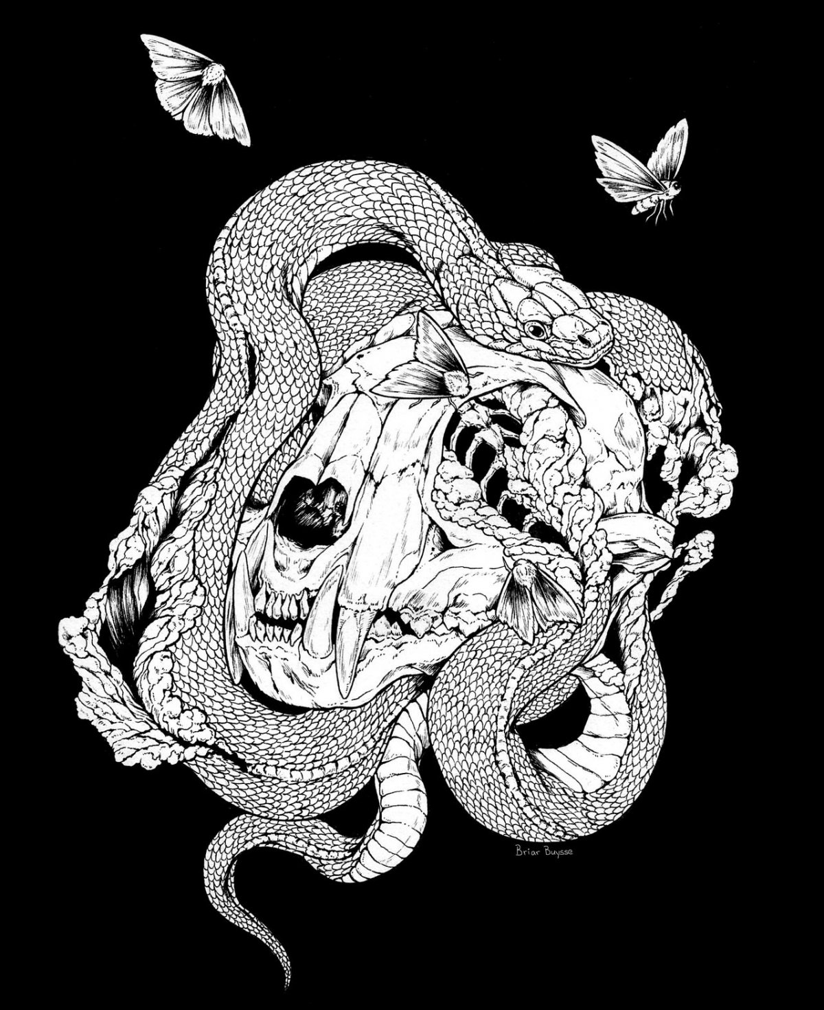Змея арт черно белый