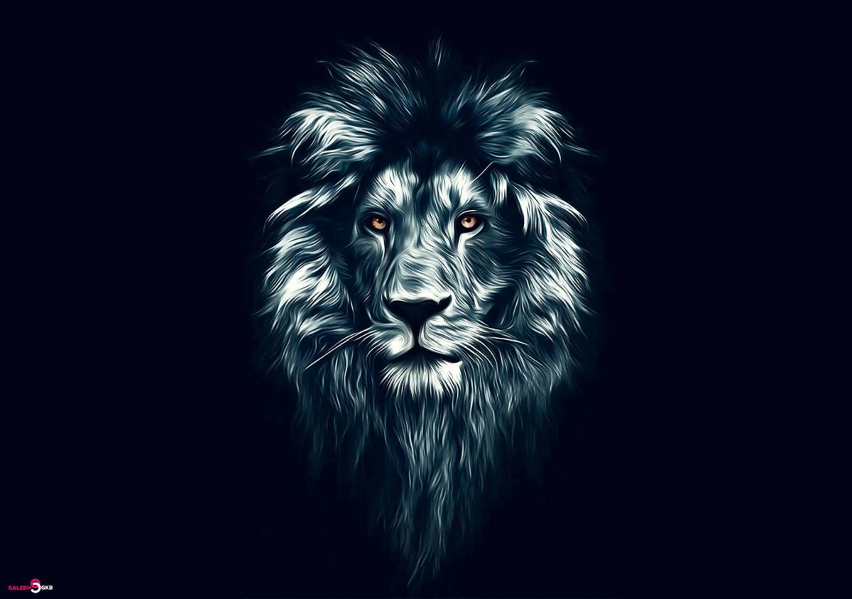 Лев на черном фоне рисунок