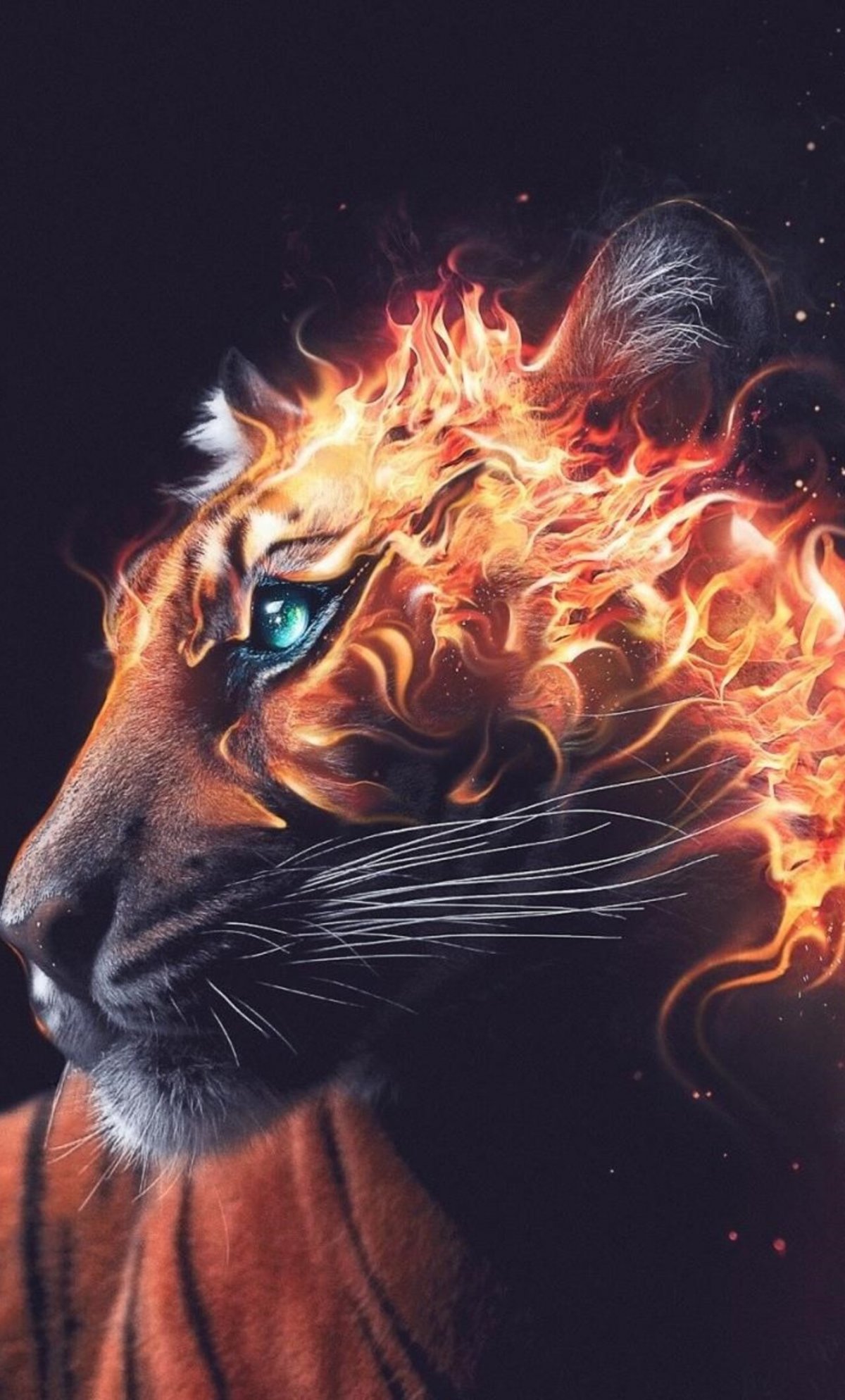 Тигр с горящими глазами
