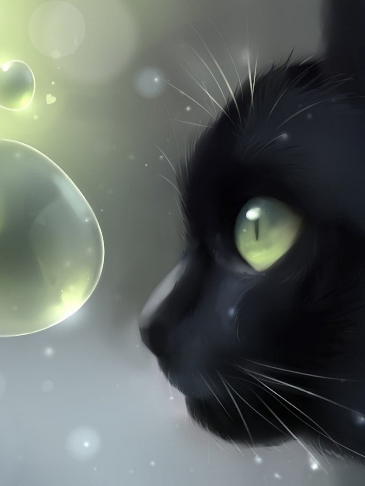 Чёрный кот аниме арт