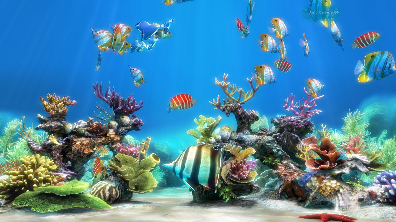 Рыбки аквариум обои. Картинки на рабочий стол аквариум. Подводный мир аквариум. Живой аквариум на рабочий стол. Фон рыбки.