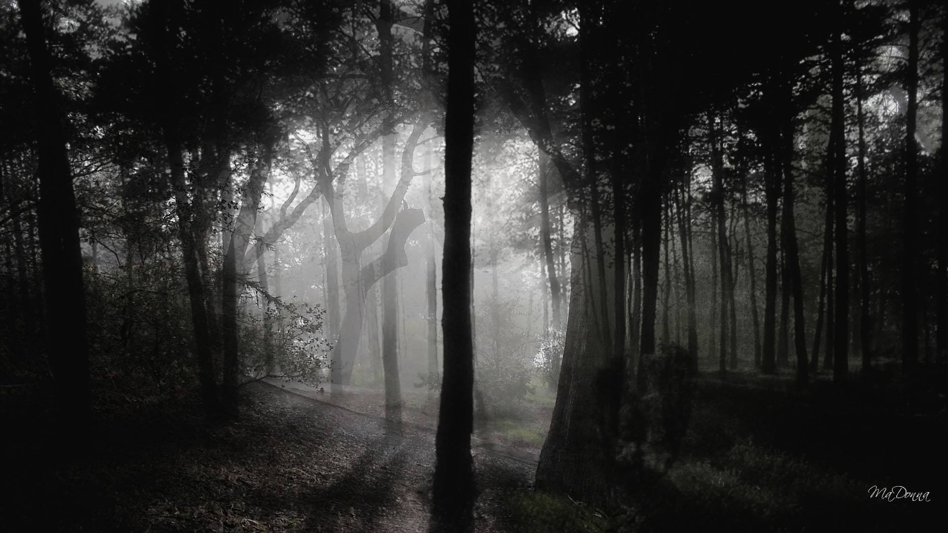 Darkwood лес