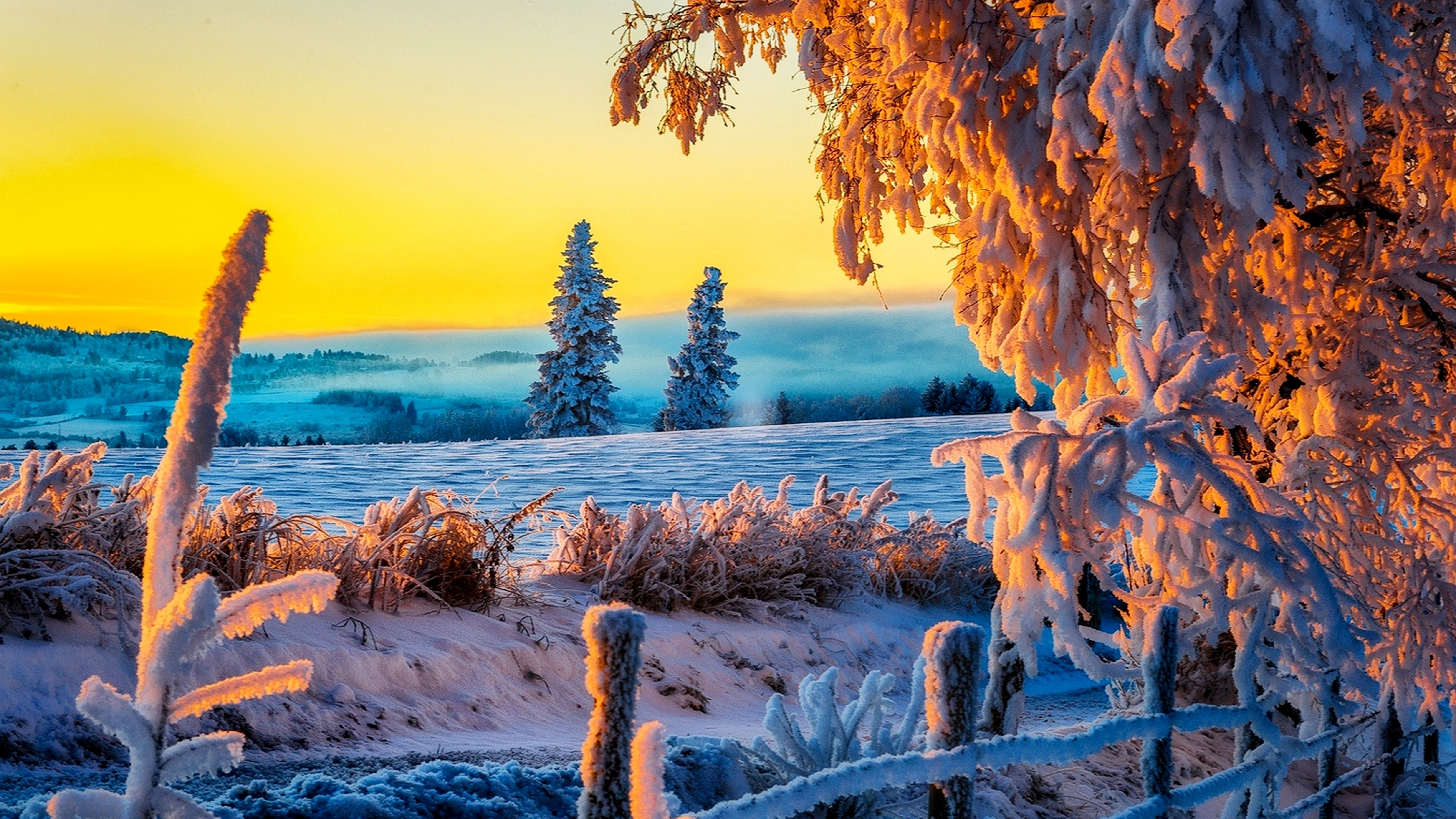 Зимние рабочие обои. Красивая зима. Зимний пейзаж. Зимняя красота. Зимняя природа.