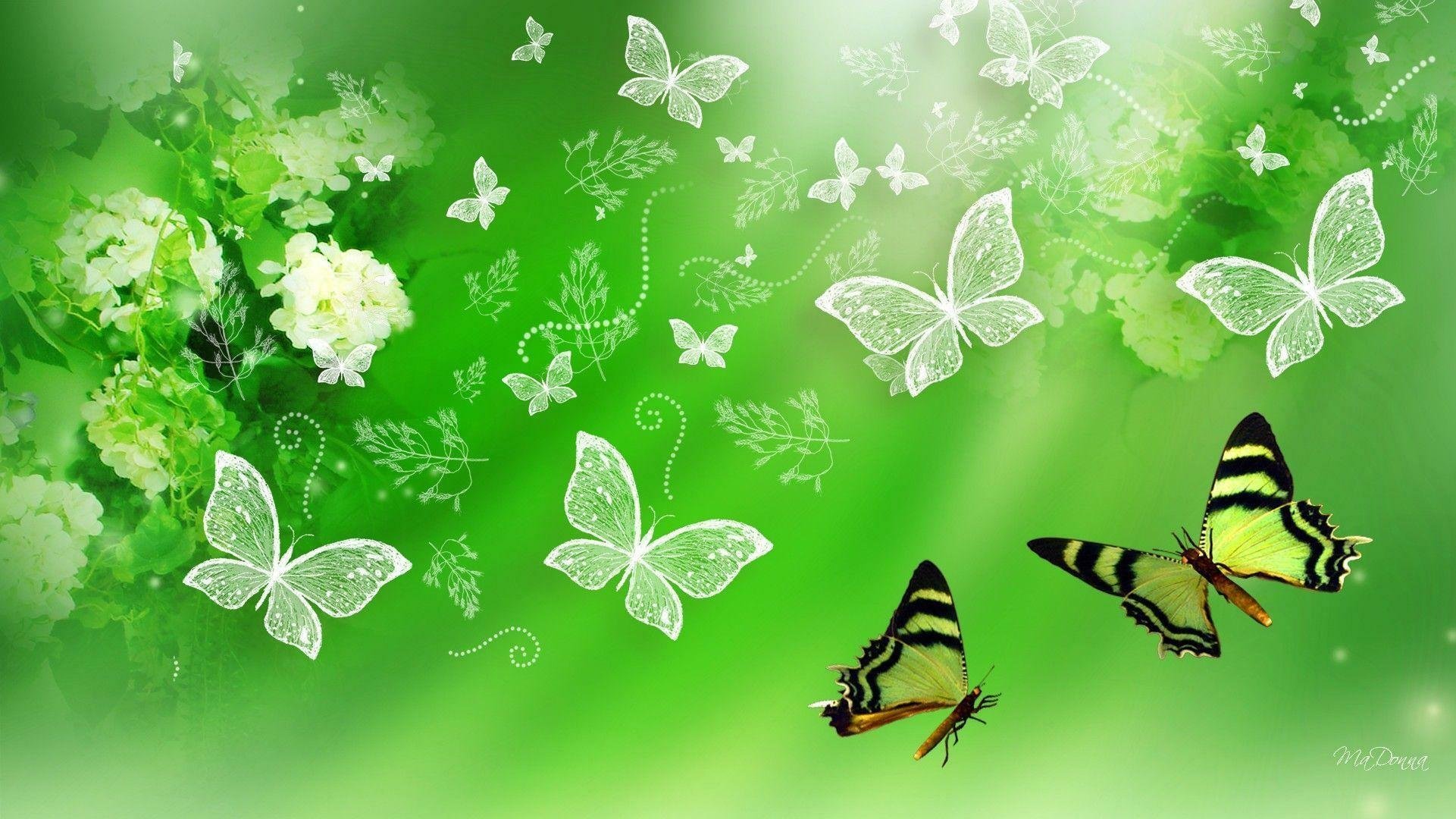 Green blossom. Фон бабочки. Обои на рабочий стол бабочки. Бабочки цветочки. Бабочка на цветке.