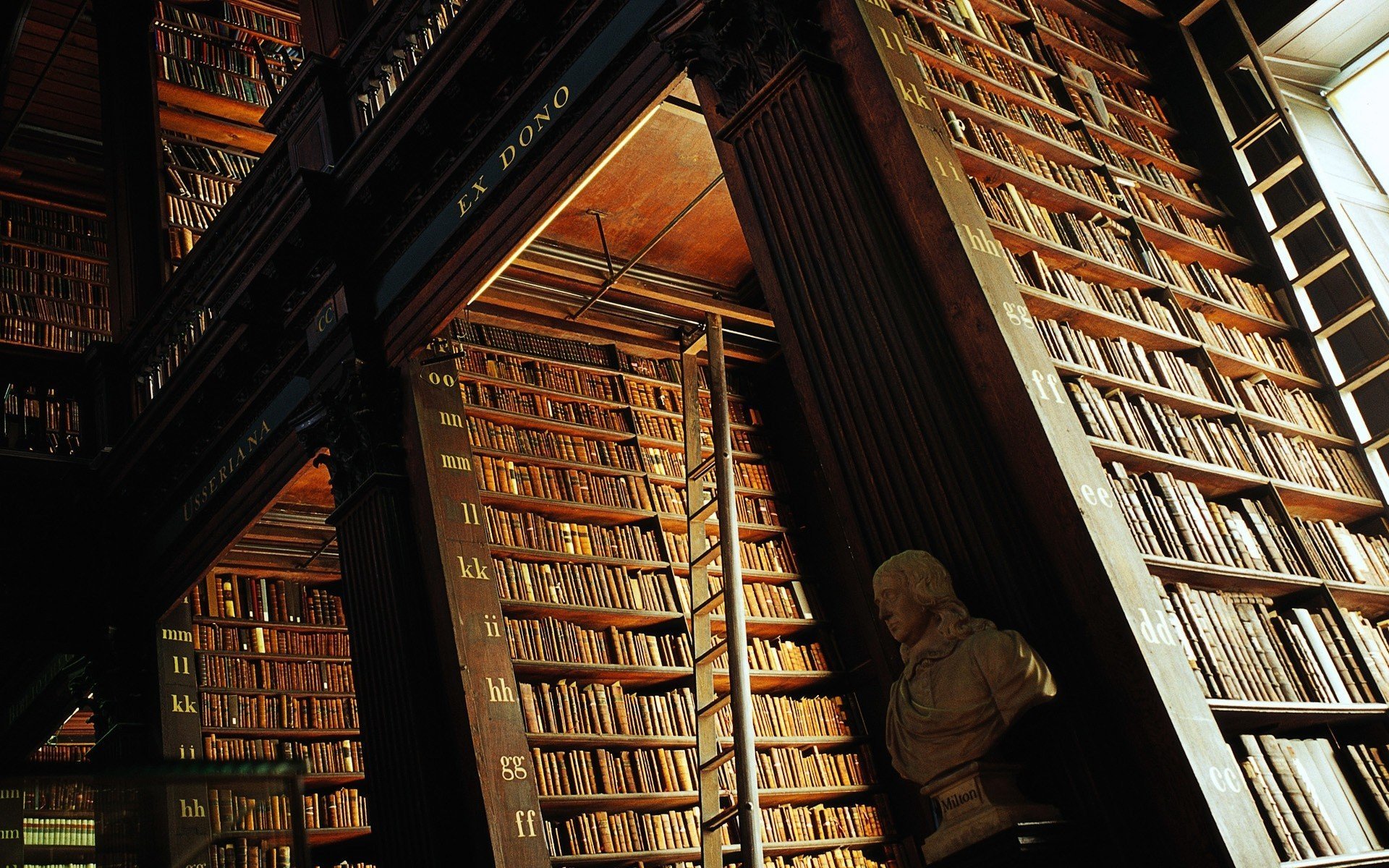 Крупнейшая электронная библиотека. Библиотека Тринити колледжа. Библиотека Тринити-колледжа, Дублин, Ирландия. Библиотека Тринити-колледжа в Дублине бюсты. Дублинский Тринити-колледж библиотека.
