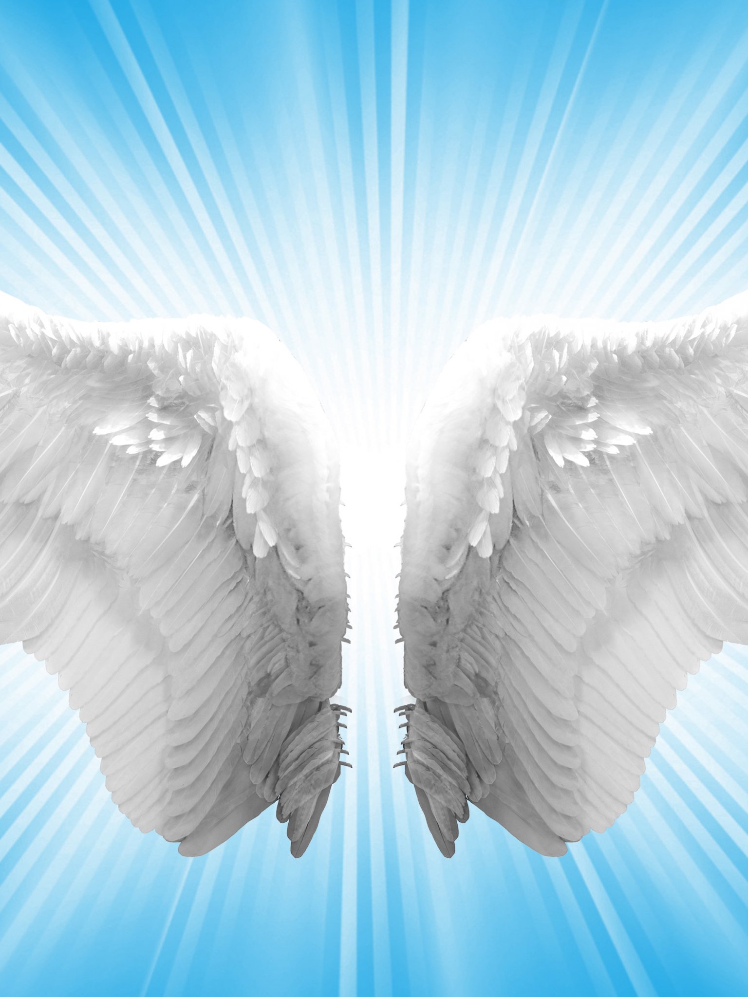 Крылья картинки. Крылья ангела. Ангел с крыльями. РАСПРАВЛЕННЫЕ Крылья ангела. Изображение крыльев ангела.