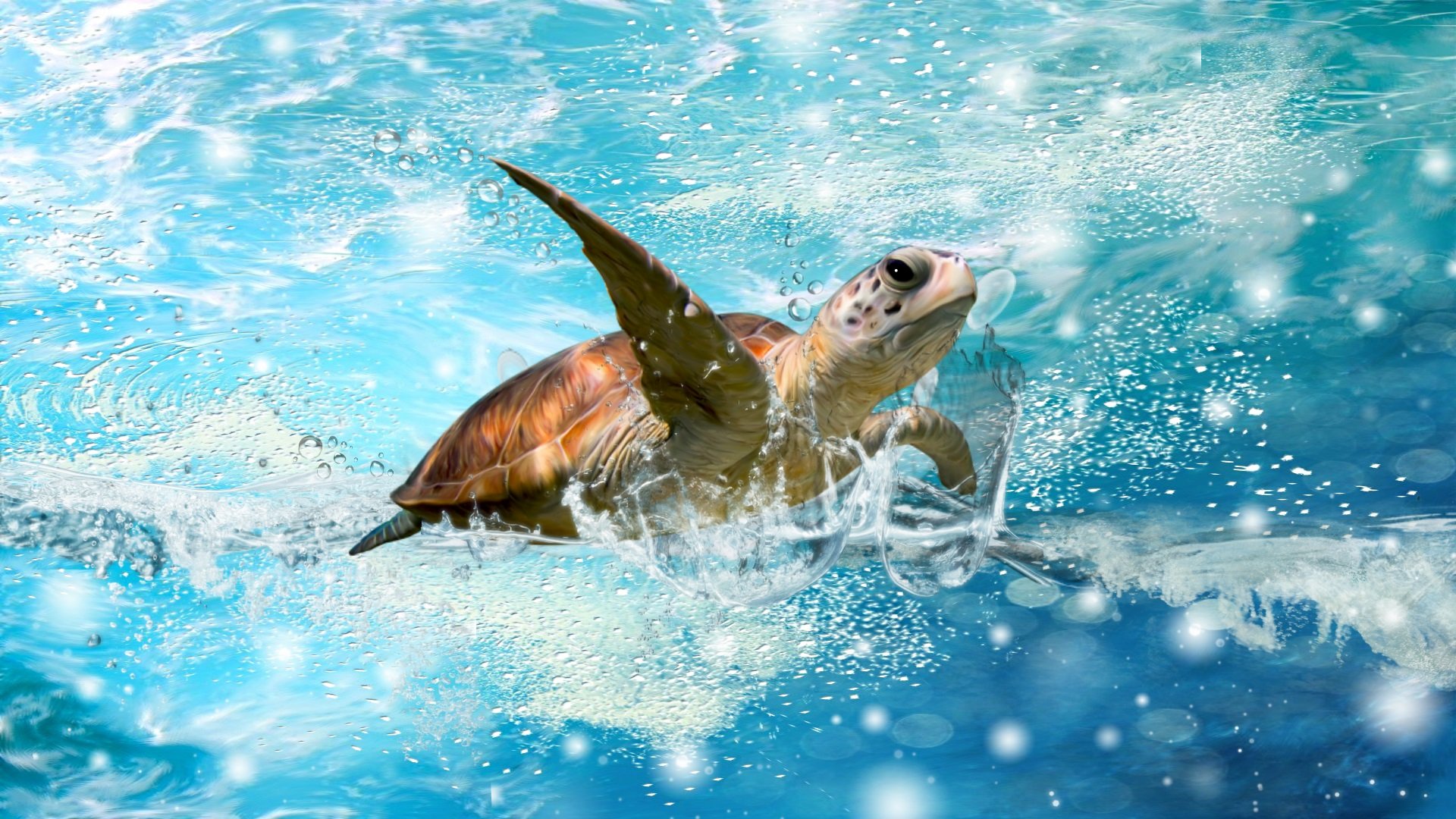 Живые плавающие обои. Морская черепаха Джим Варрен. Плавающие животные. Заставка на рабочий стол черепаха. Черепаха плывет.