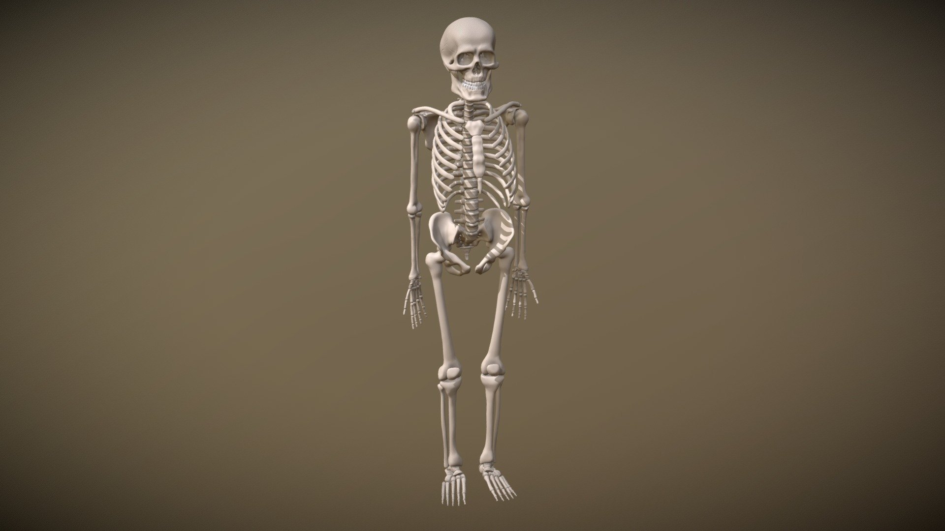 Поверхность скелета. Скелет человека. Обои скелет. Текстура скелета. Скелет человека на черном фоне.