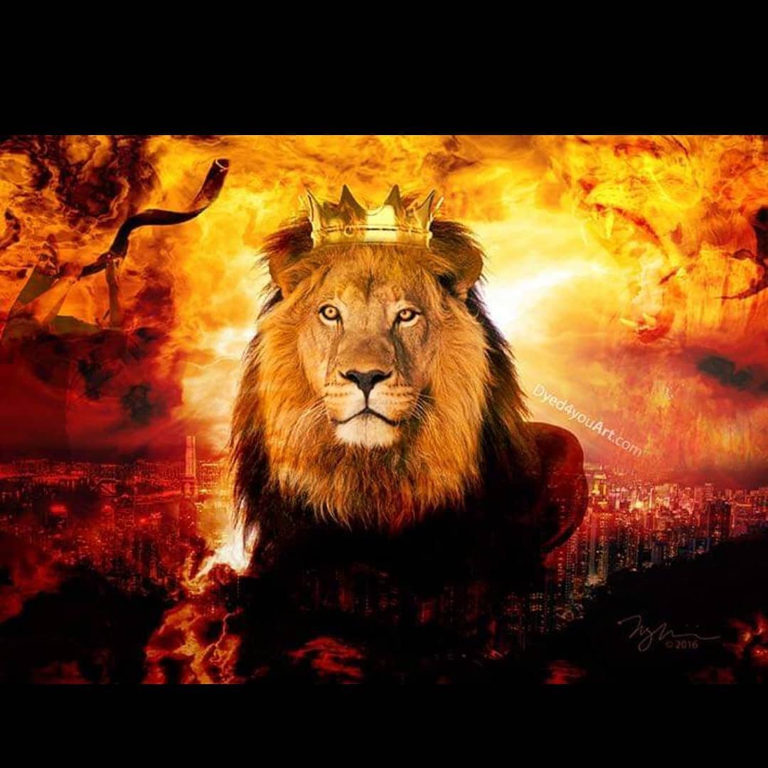 Полную версию левы. Огненный Лев. Огненный Лев с короной. Лев с короной. Царственный Лев.