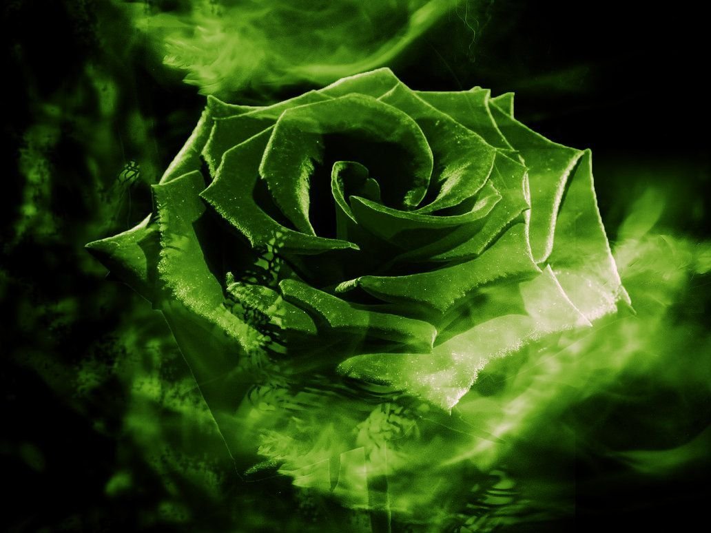 Is green and beautiful