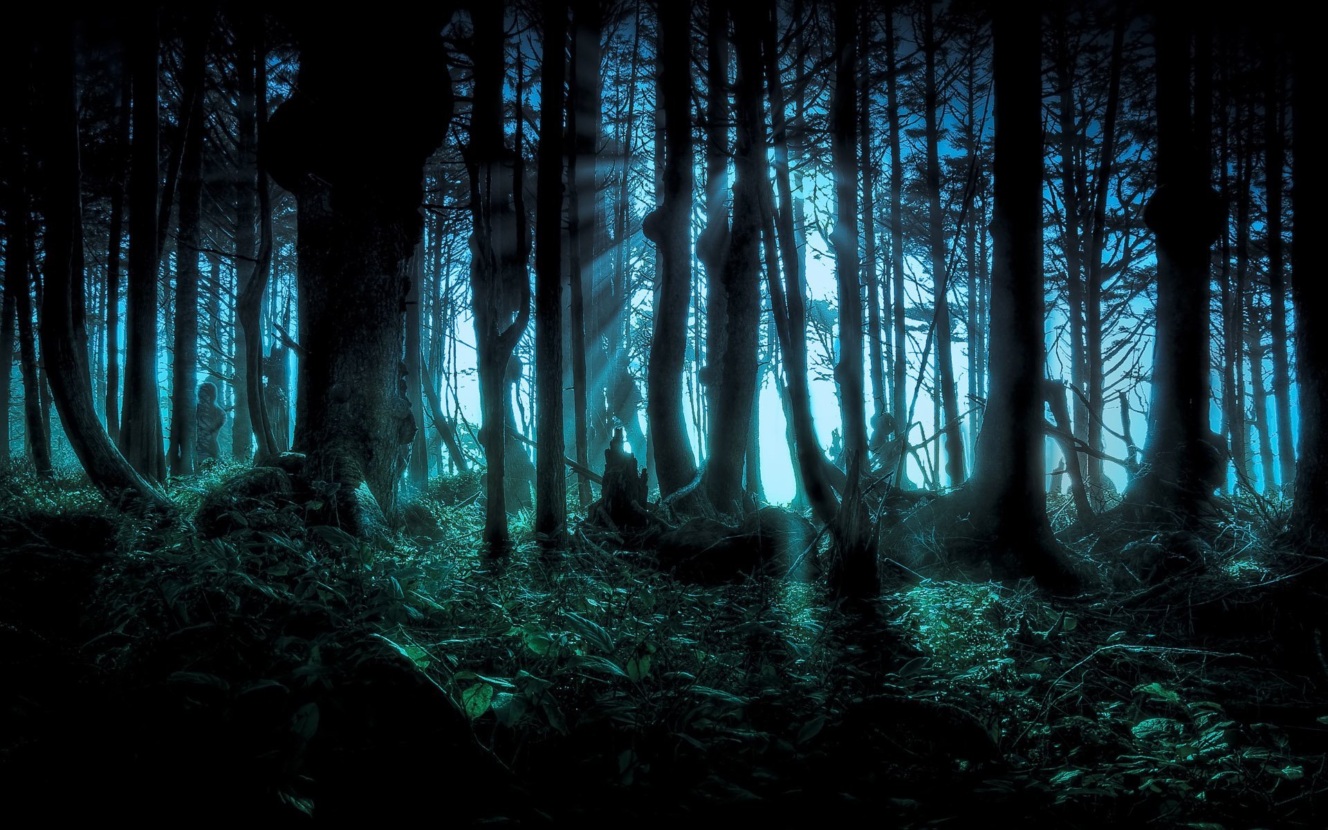 Страшный лес обои - 70 фото