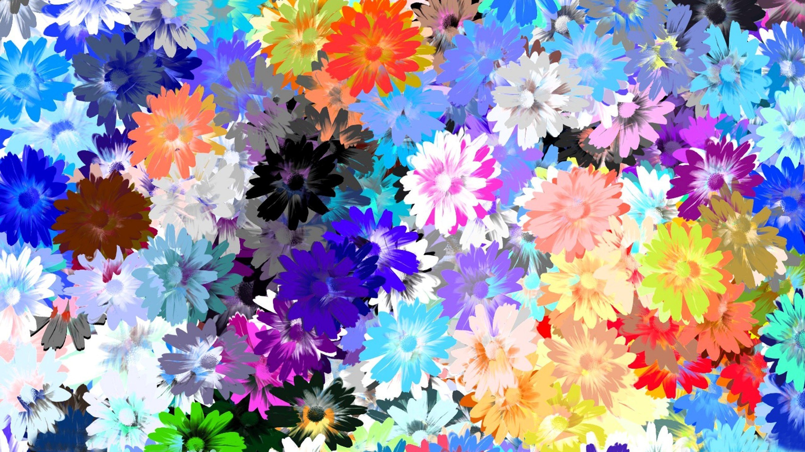 Красивый цветок на фон телефона. Яркие цветы. Разноцветные цветы. Фон цветочки. Красивые яркие цветы.