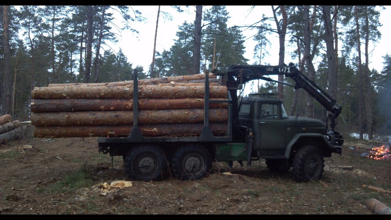 Лесовоз дров купить. ЗИЛ 131 лесовоз. ЗИЛ-131 грузовой лесовоз. ЗИЛ 131 для леса. Урал Фискарс лесовоз.