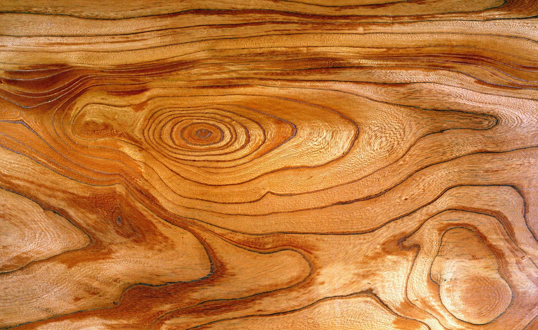 Текстура древесины бесшовная - 63 фото