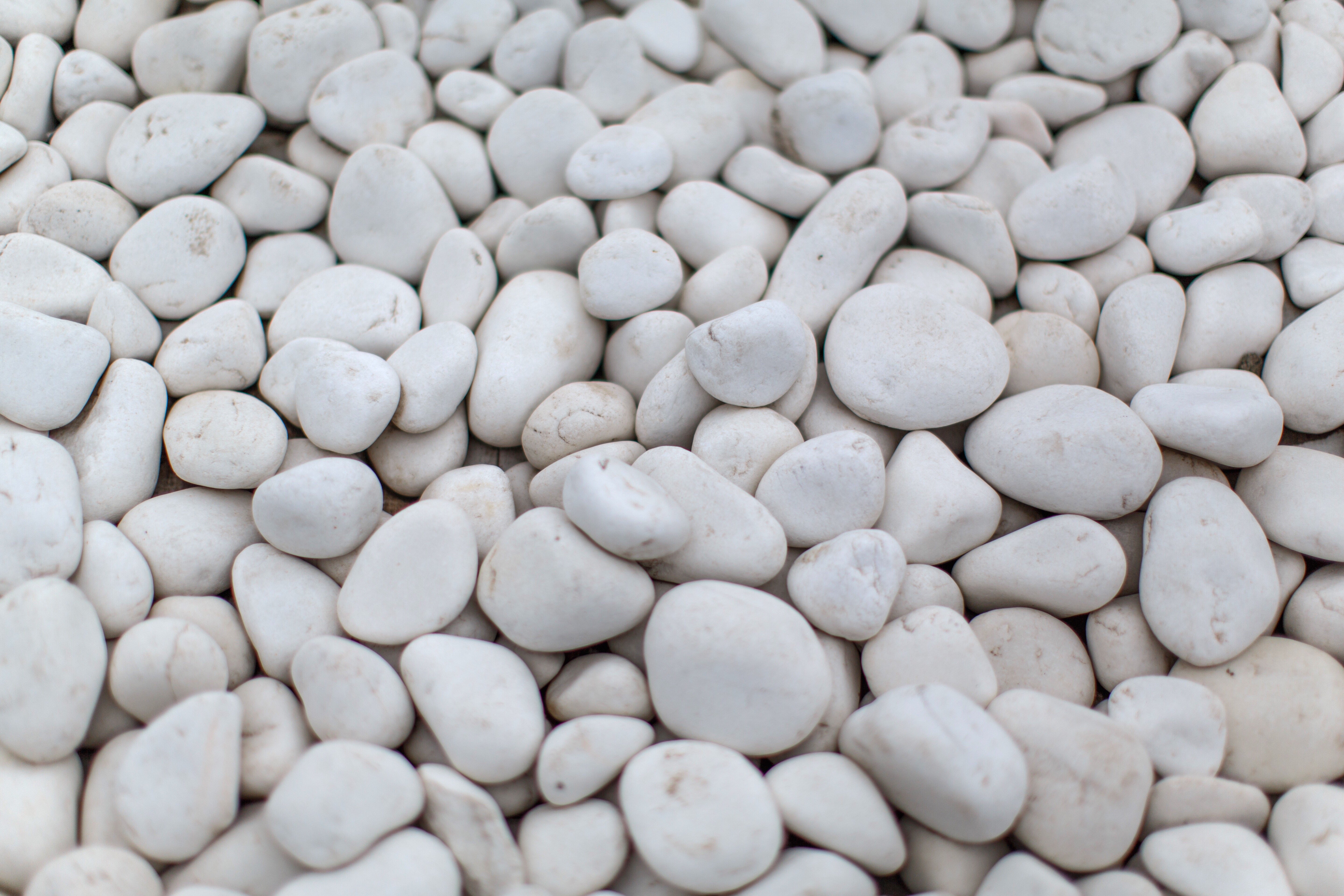 Галька текстура. Мрамор галтованный белый 40-70. Белый камень. Белая галька. Мелкая белая галька.