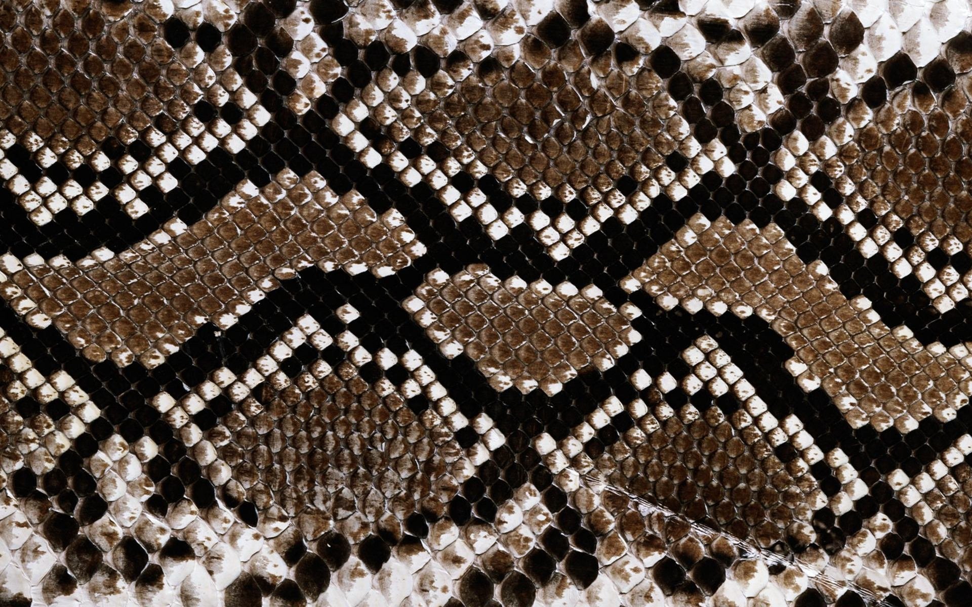 Кожа змеи текстура - 67 фото