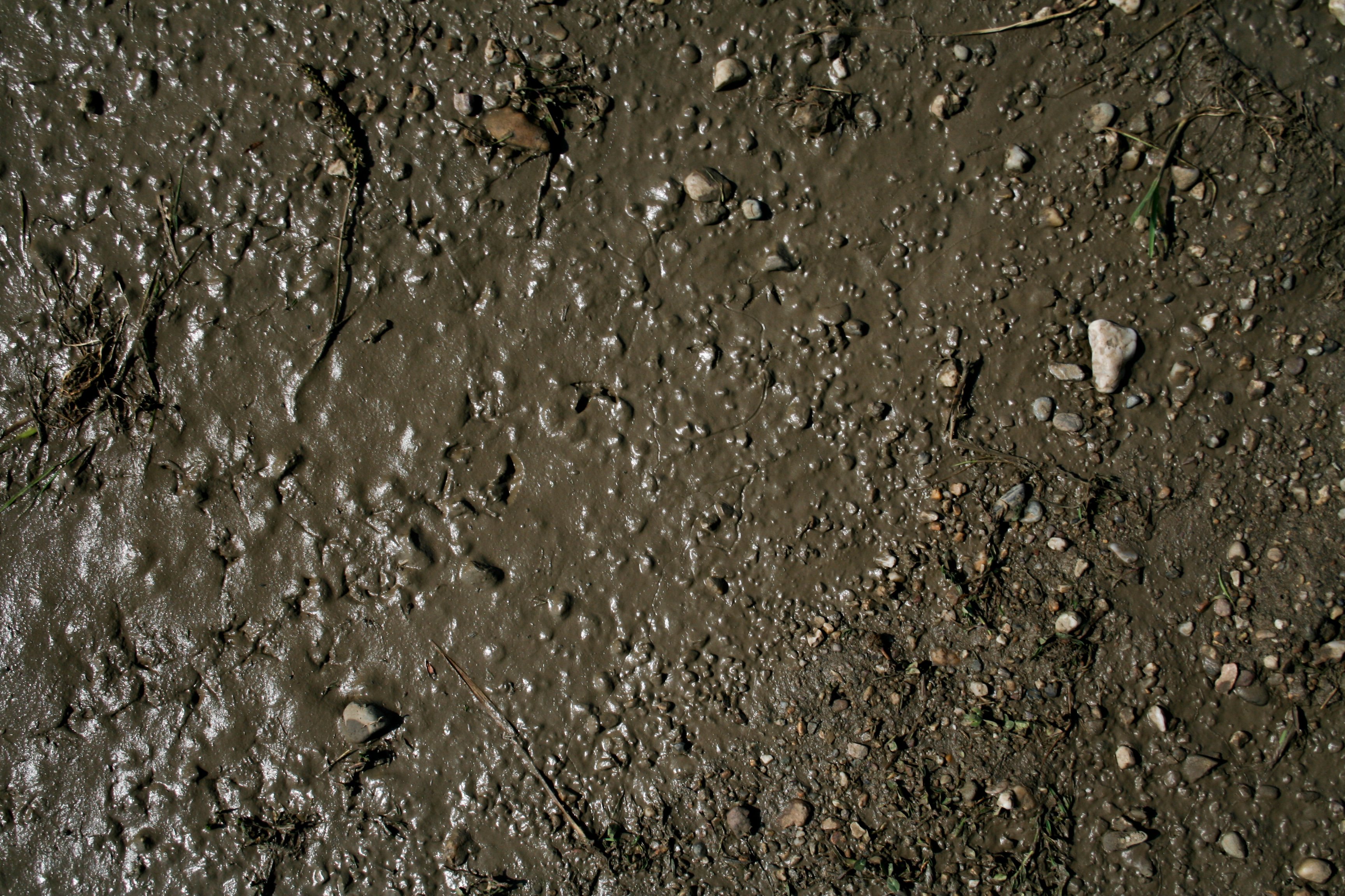 Текстура грязи бесшовная - 57 фото