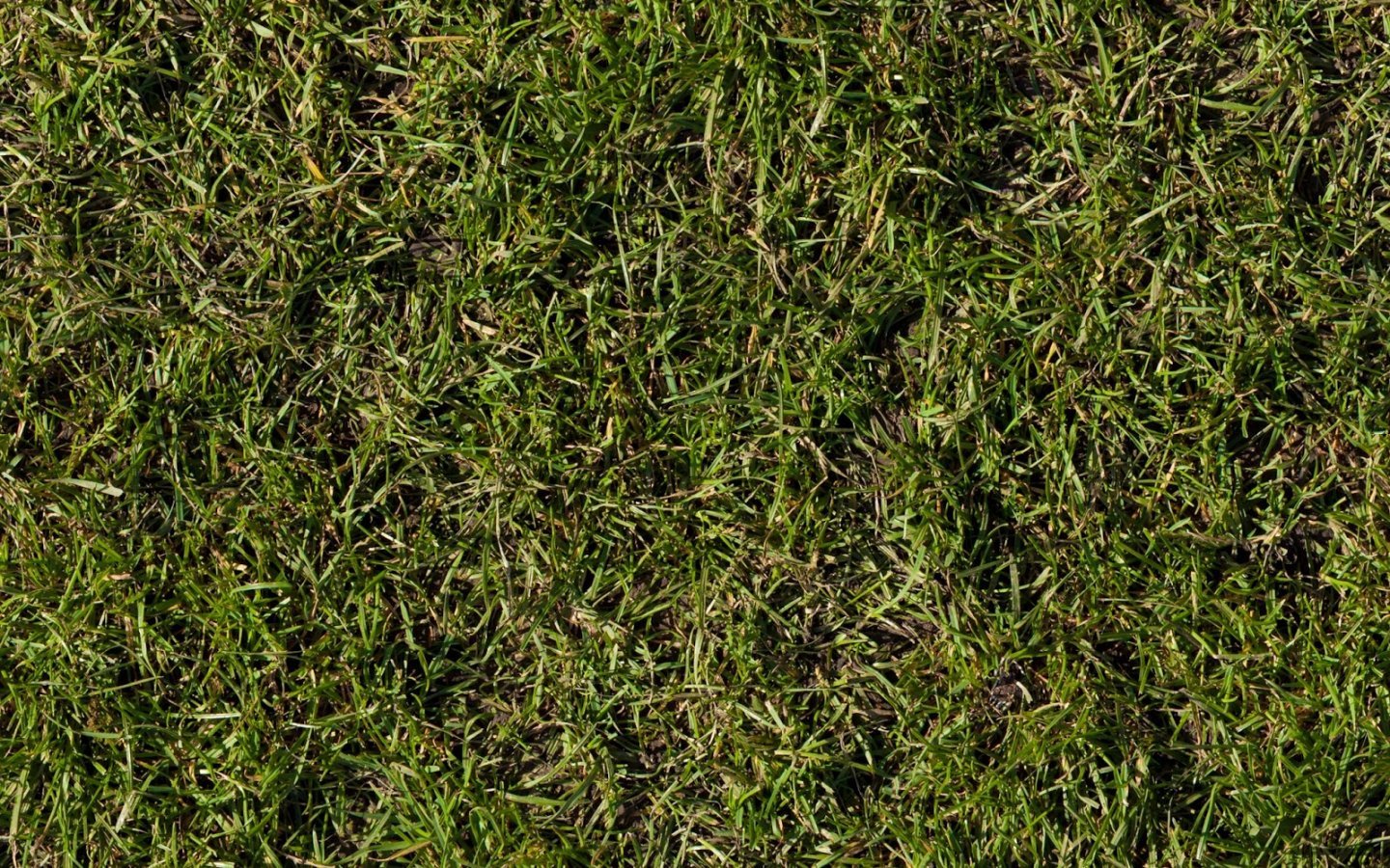 Текстура земли с травой - 55 фото