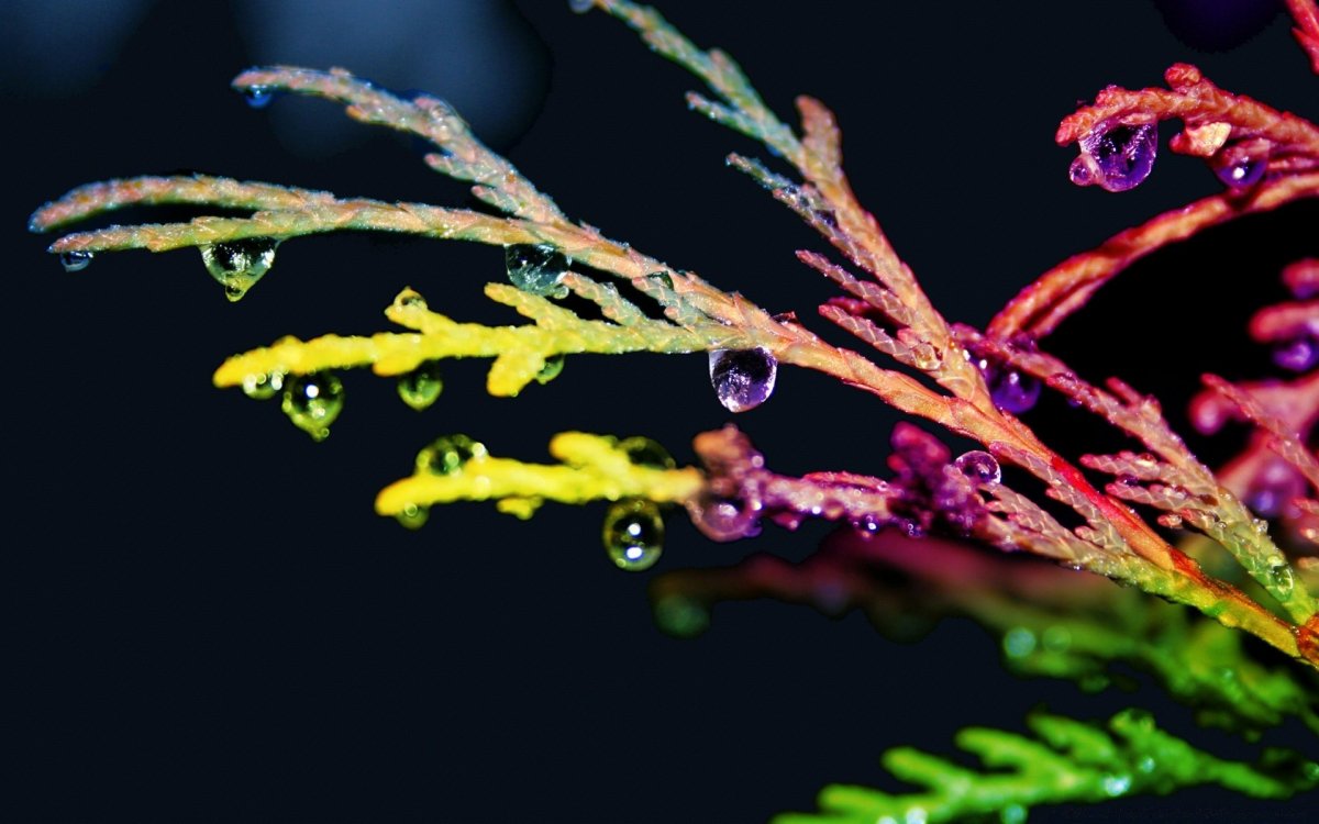 Фон для компьютера