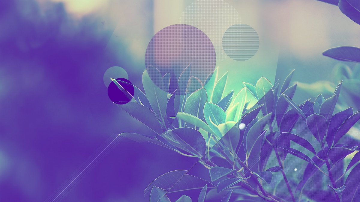 Led телевизор TCL led40d3000