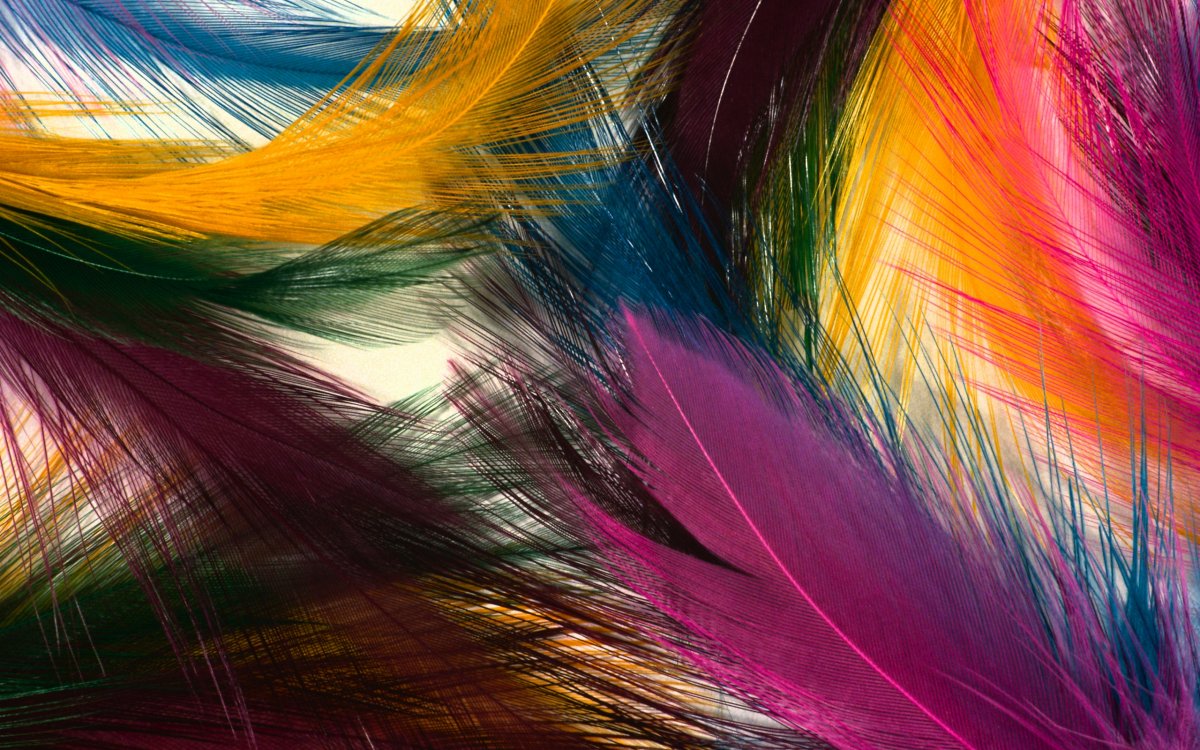 Пух обои разноцветный