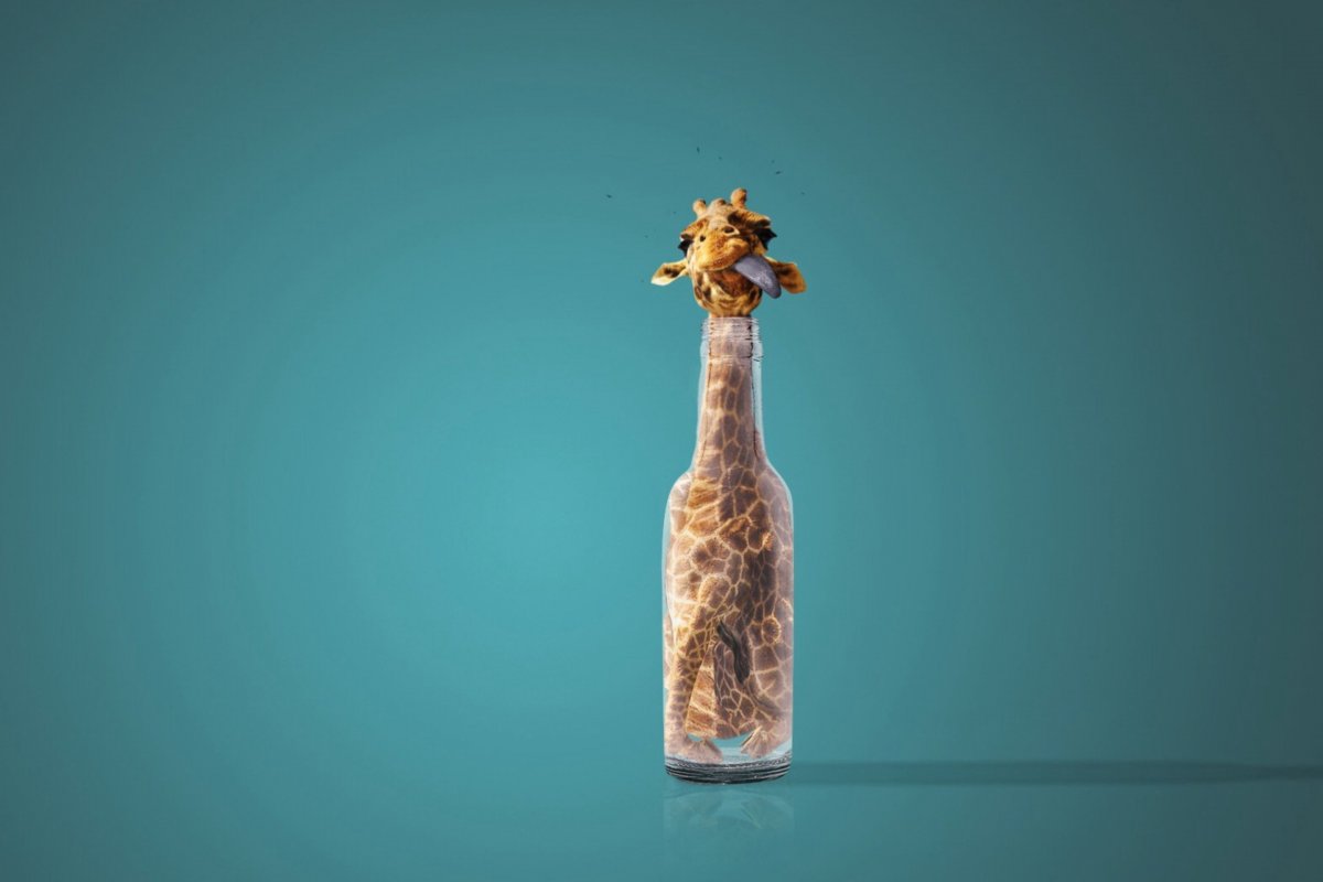 Бутылочка с жирафом