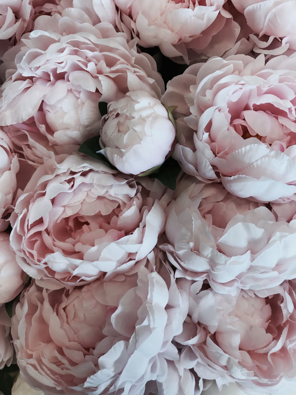 Розовые цветы на айфон