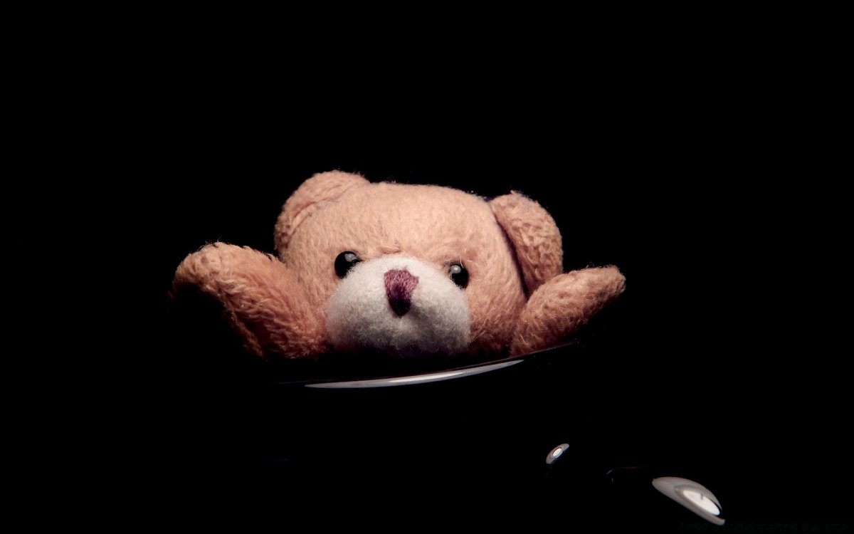 Плюшевый мишка