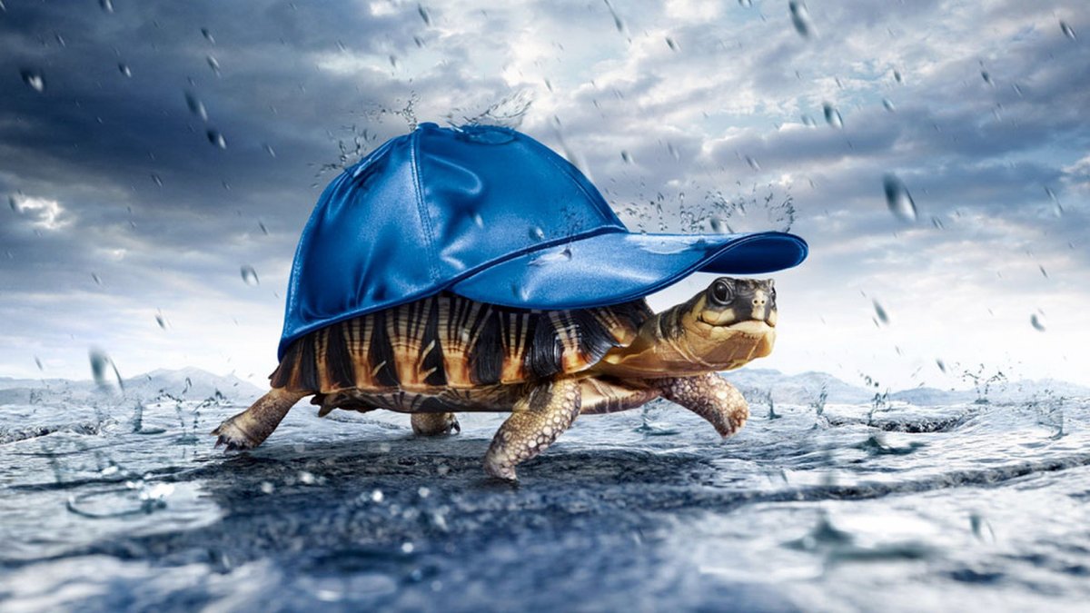 Осторожность прикол