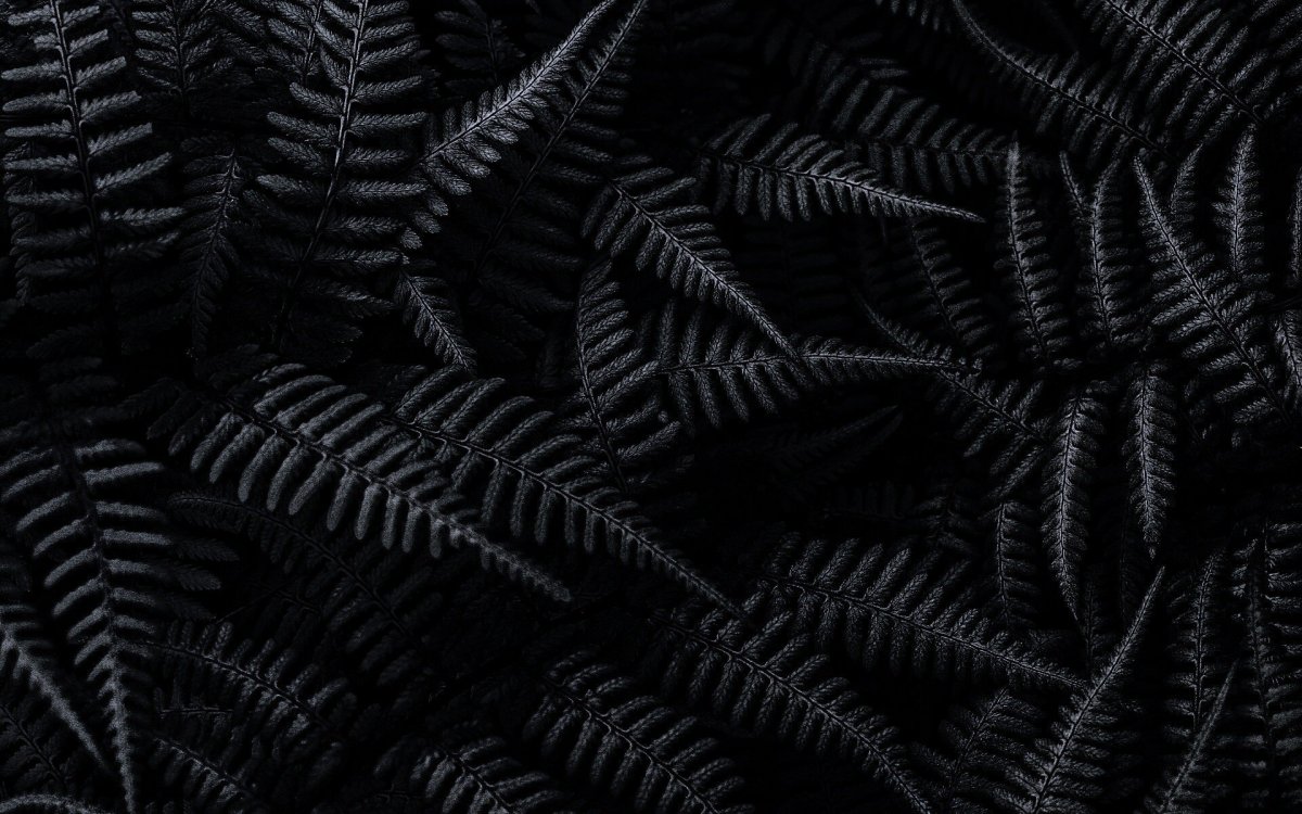 Череп с цветами