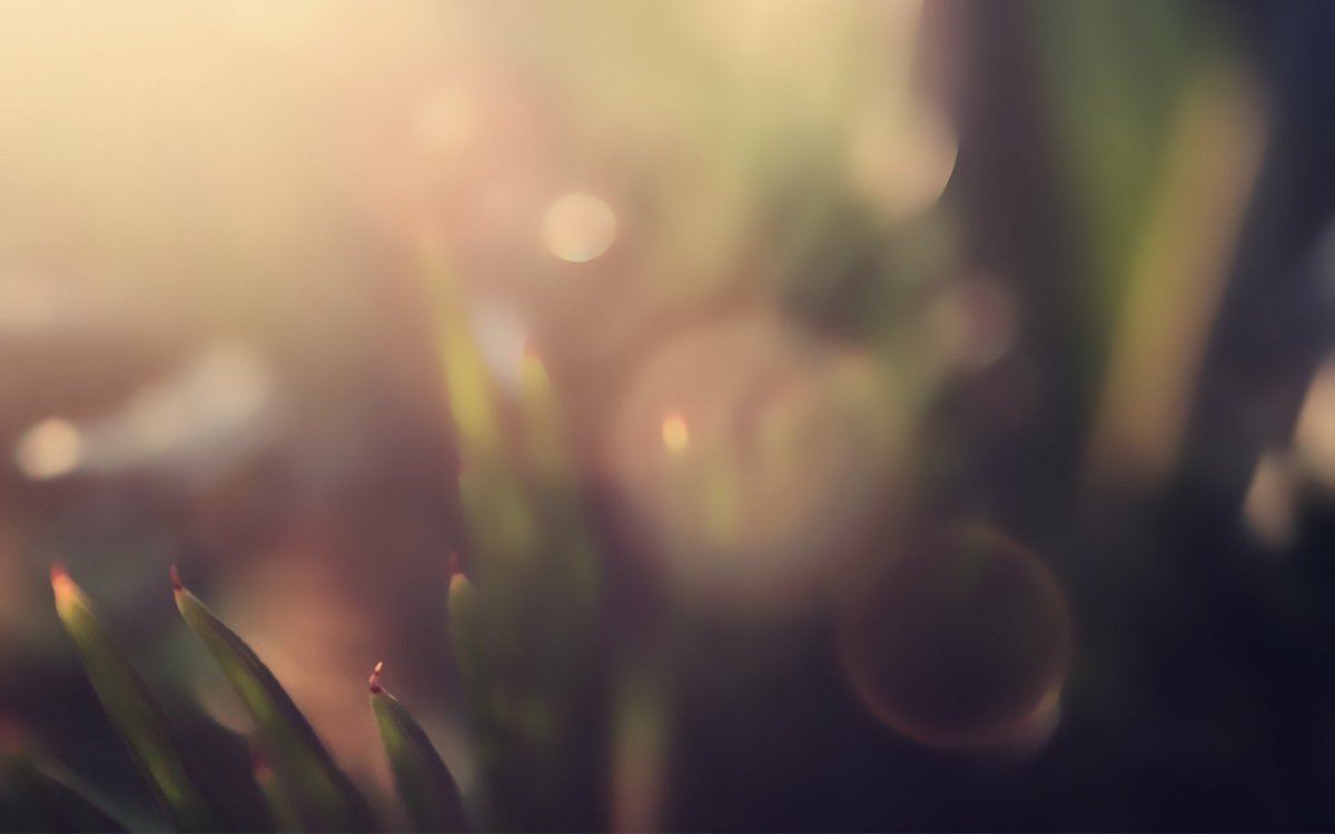 Красивый размытый фон