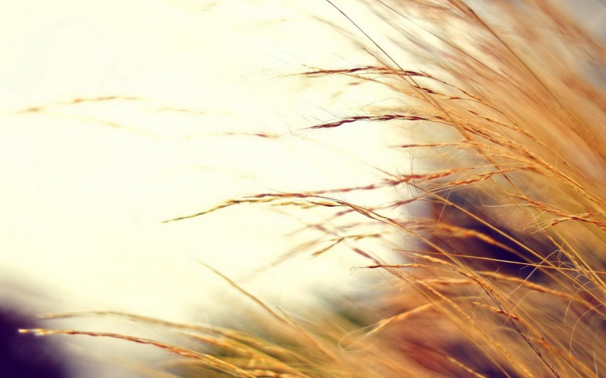 Фон в теплых тонах