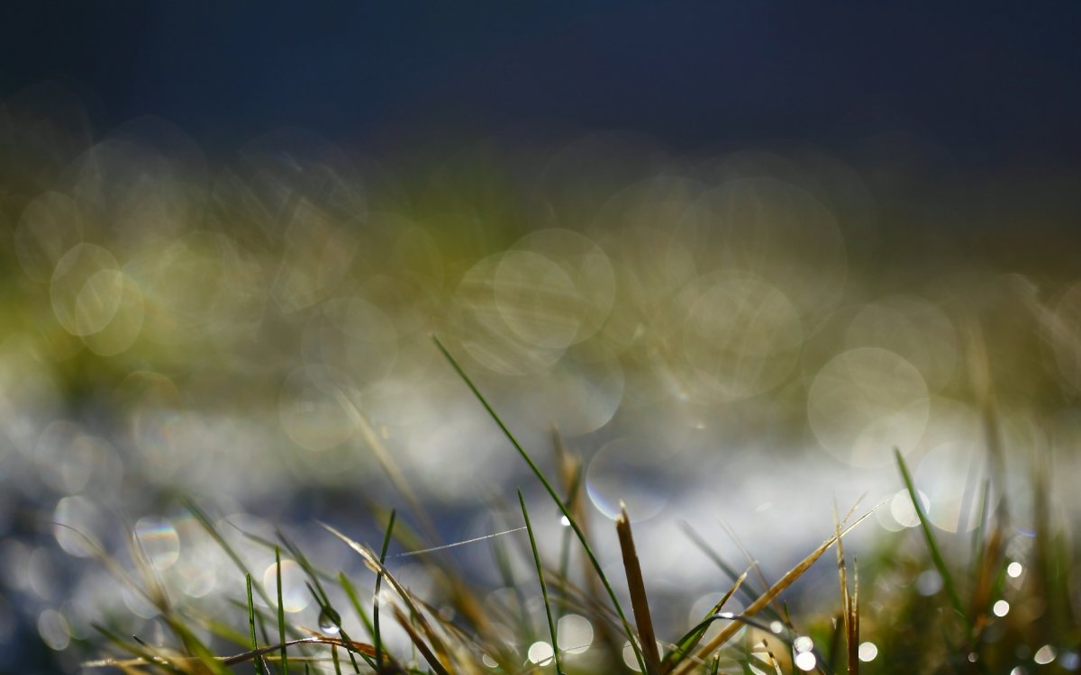 Природа размытая