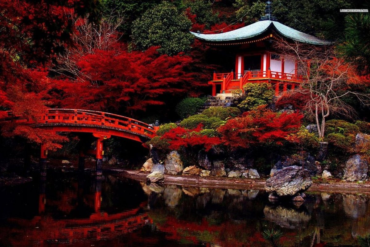 Эмилия Эмилия Киото Япония