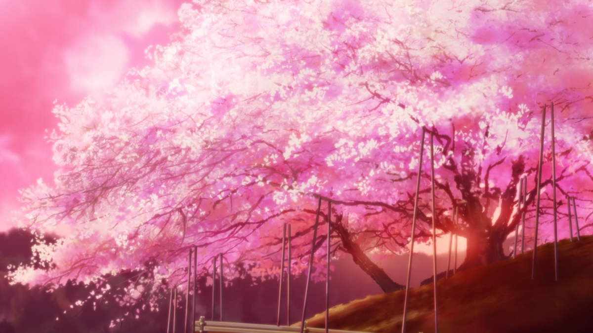 Сакура аниме девушка