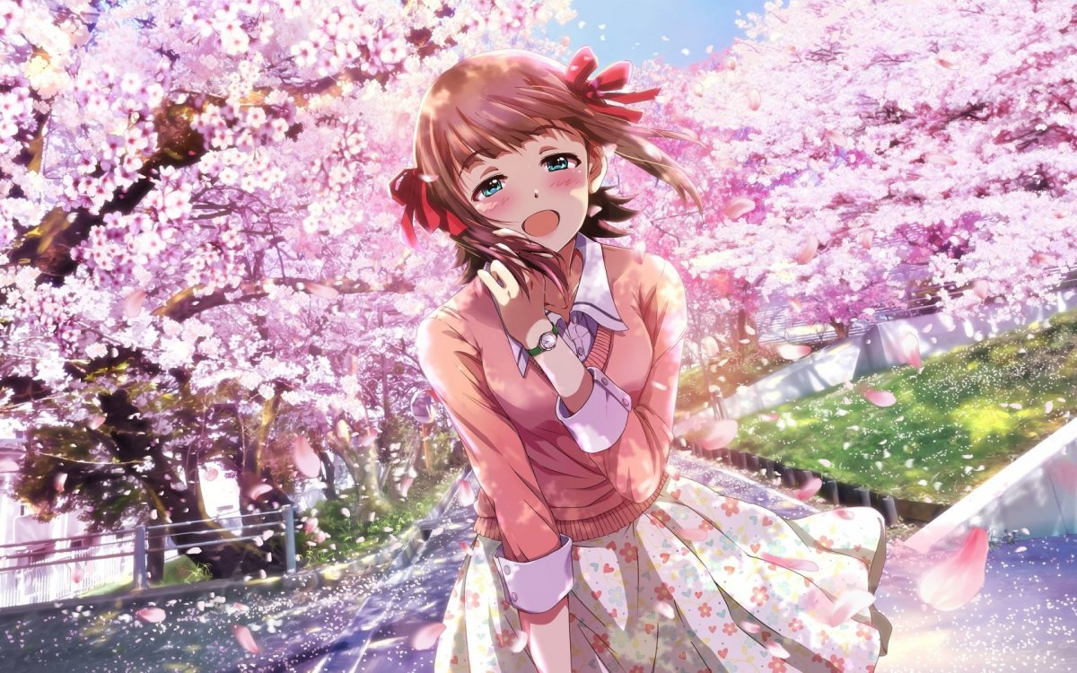 Черри блоссом аниме