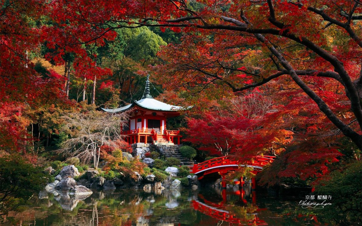 Осень в Японии
