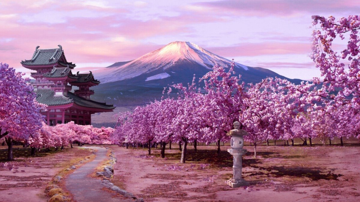 Черри блоссом арт