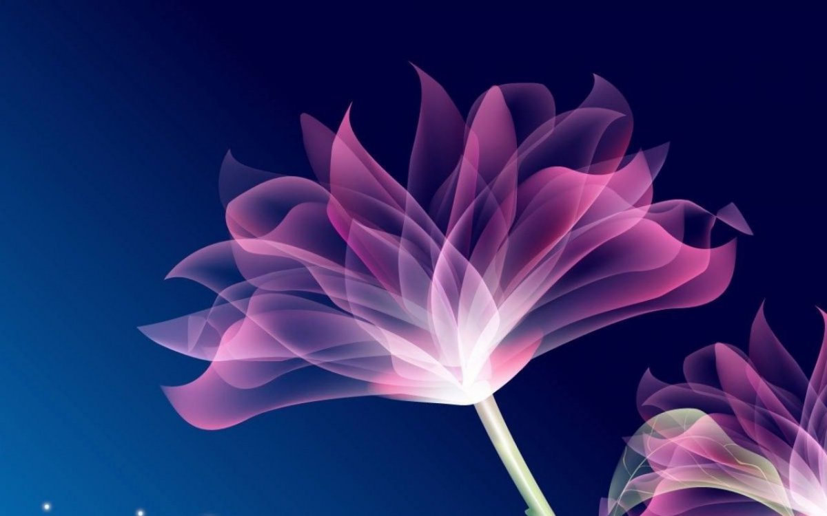 Energy en-419g (003843)