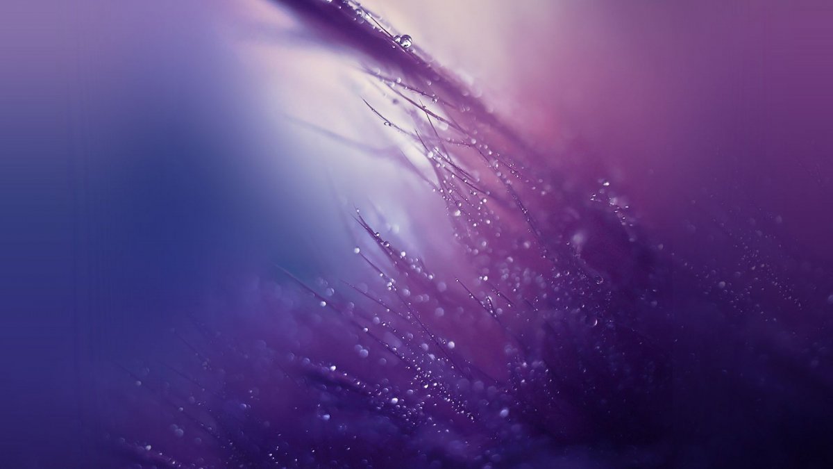 Обои Samsung Galaxy s8