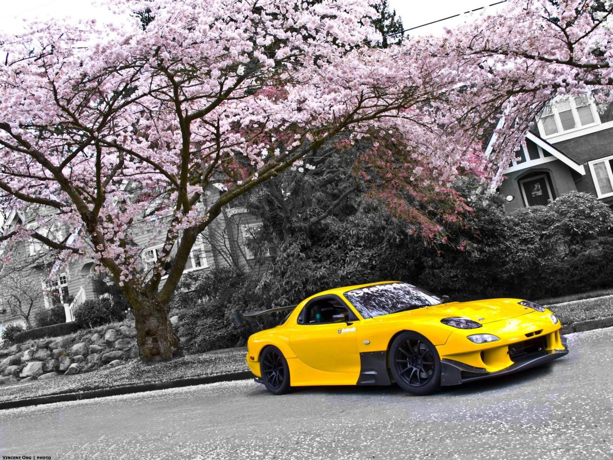 Mazda rx7 Sakura
