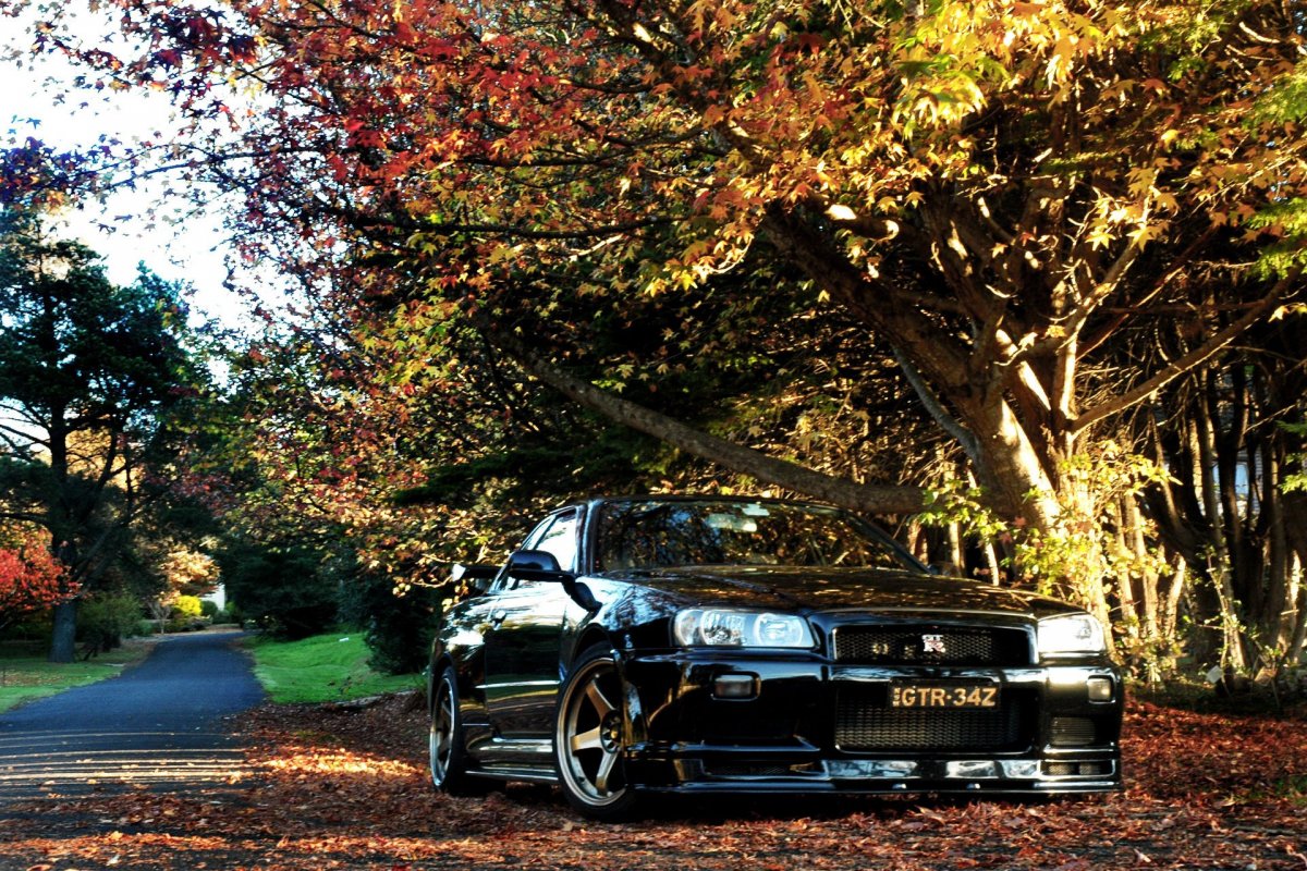 Nissan Skyline GTR r34 1366х768