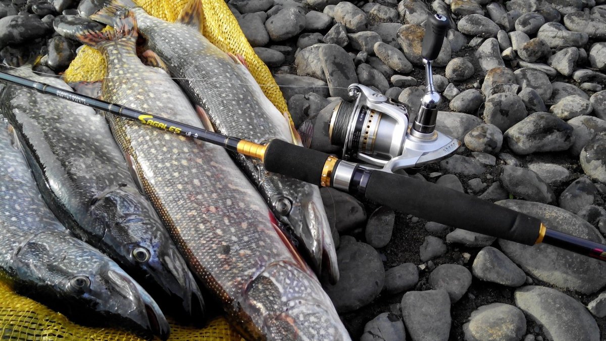 Рыбалка на спиннинг