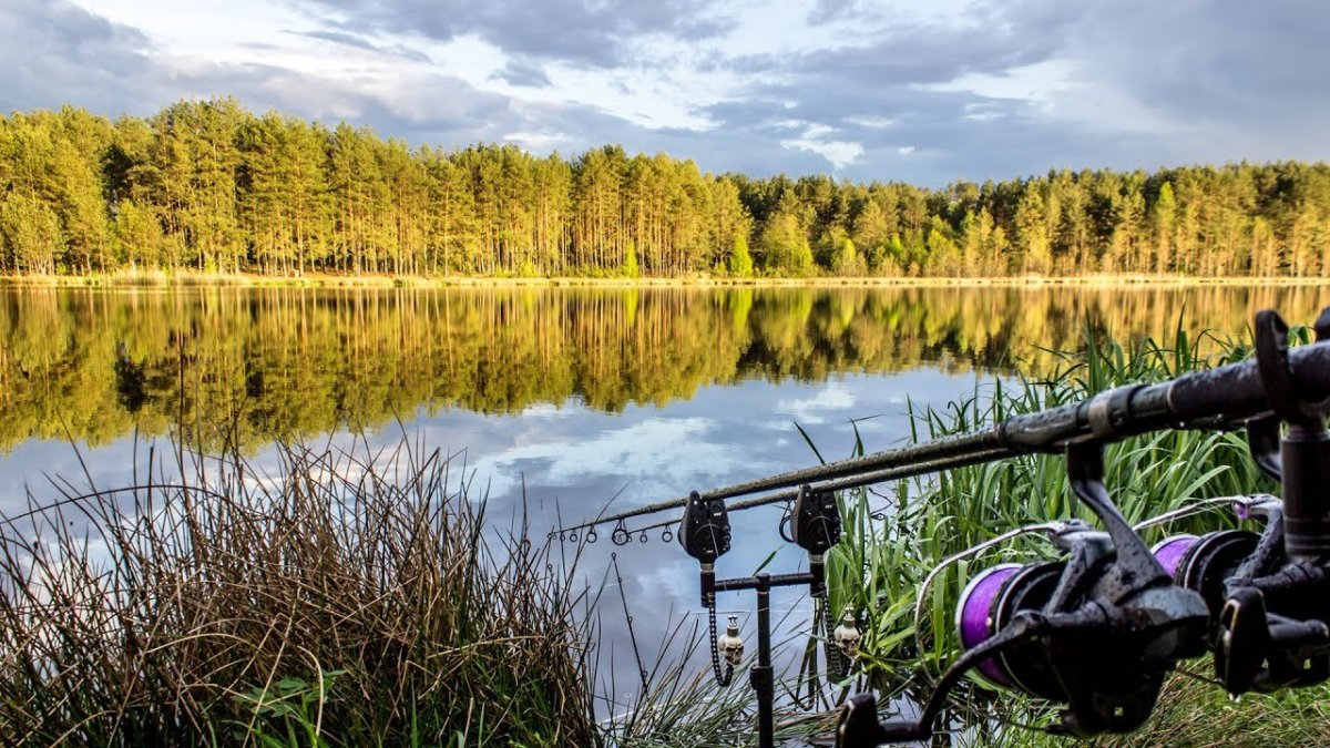 Красивые места рыбалки
