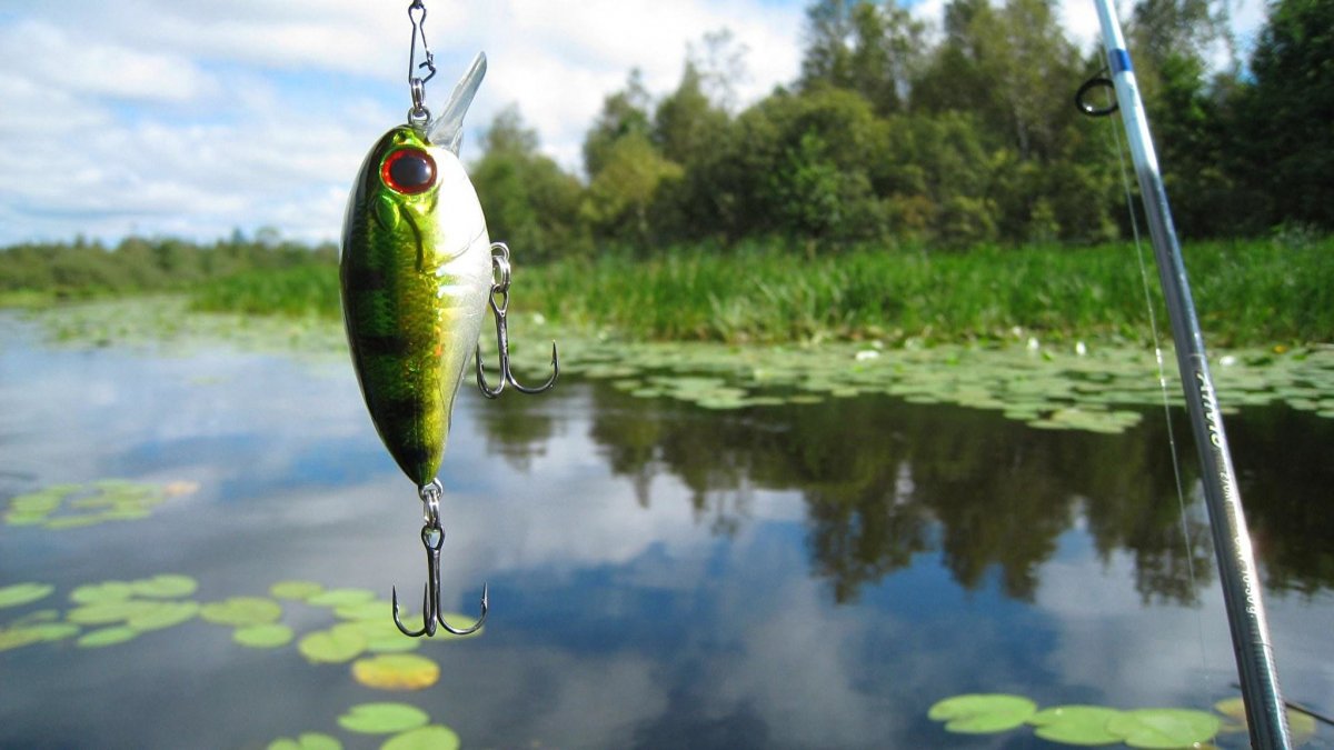 Ловись рыбка большая и маленькая