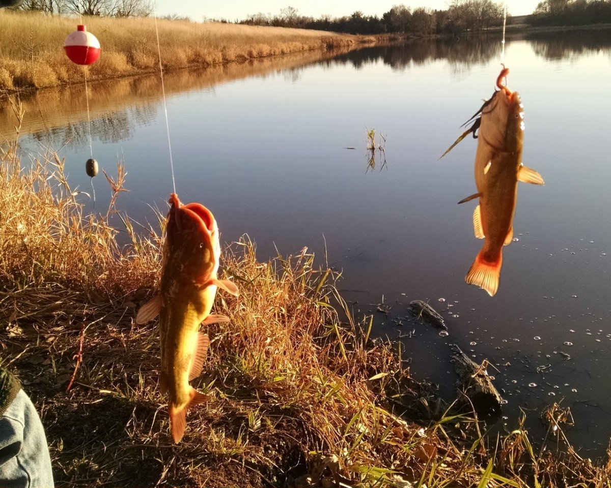 Рыбак профессия